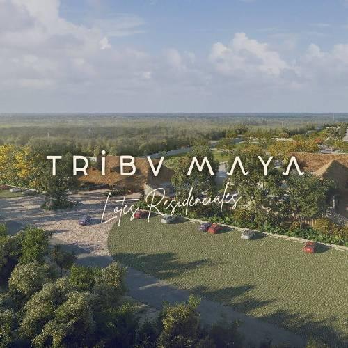Imagen de Tribu-Maya